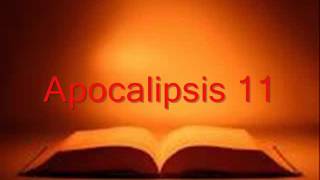 APOCALIPSIS completo Biblia hablada RV 1960 [upl. by Currier544]