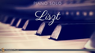 Liszt  Piano Solo [upl. by Yauqram595]