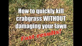 How to kill crabgrass quickly without damaging your lawn [upl. by Cornia]