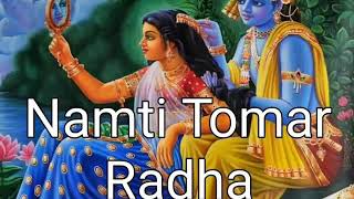 Namti Tomar Radha DJ Song [upl. by Akehs]